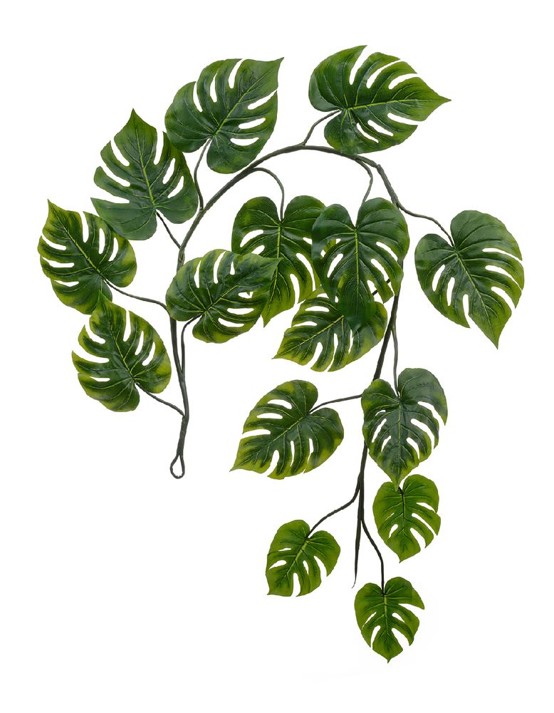 Монстера лиана искусственная 15 листов (Sensitive Botanic)
