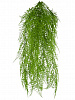 Папоротник ампельный искусственный H68 FR в интернет-магазине Greentrend.ru