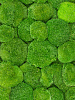 Мох Ball moss Moss green 4 windowbox = ca 0.64 m² в интернет-магазине Greentrend.ru