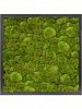 Картина из мха MDF RAL 9005 Satin Gloss 100% Ball moss в интернет-магазине Greentrend.ru